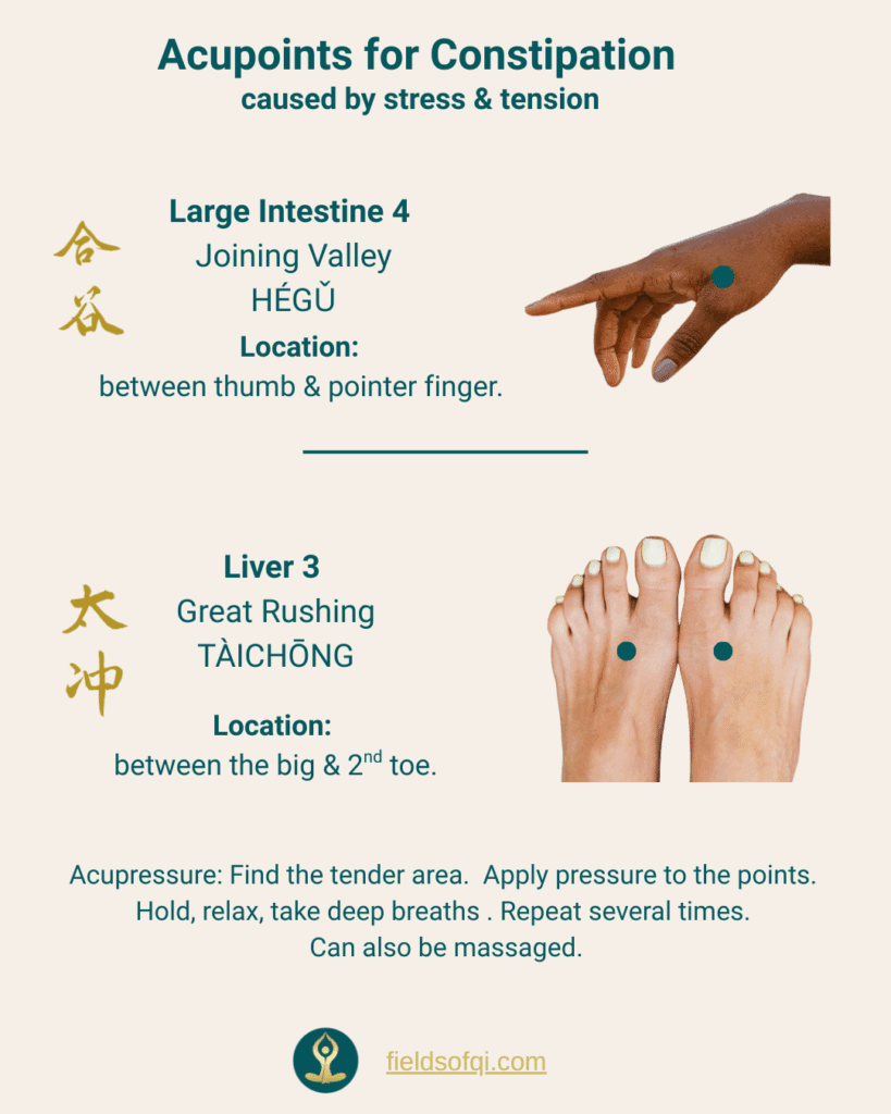 Anatomical diagram showing ST-36 (Zusanli) located four finger widths below the kneecap on the outer side of the leg.