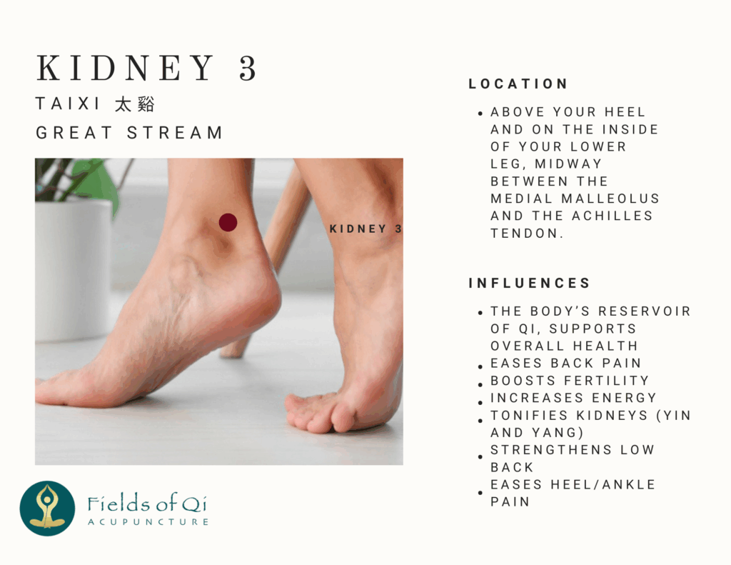 Close-up diagram of the Kidney 3 (KI 3) Taixi acupuncture point located in the hollow between the inner ankle bone and the Achilles tendon.