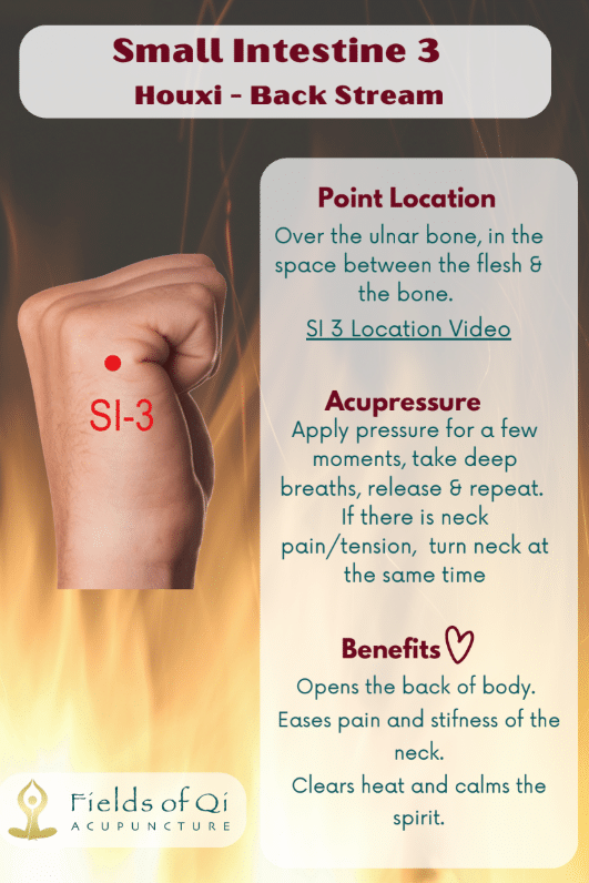 An informational acupressure guide for ST 36 Zusanli showing the point location on the leg and a list of health benefits like digestion and immune support.