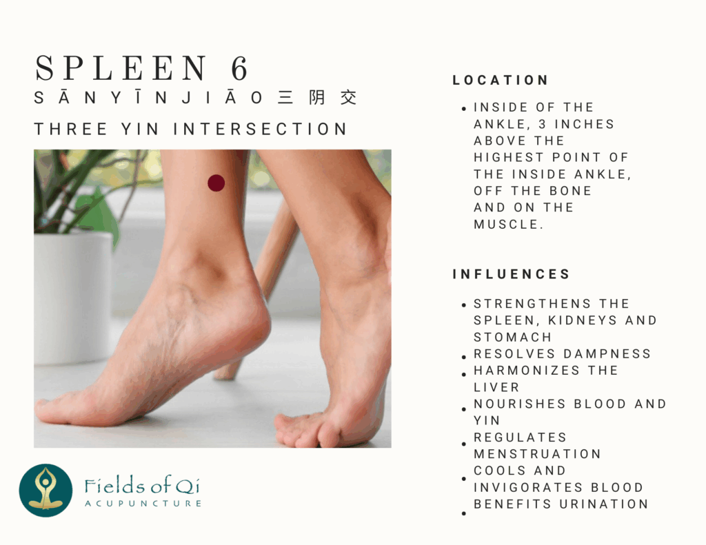 Alt Text: Illustration of the Spleen 6 (SP 6) Sanyinjiao acupuncture point located on the inner ankle, used for hormonal balance and stress relief.